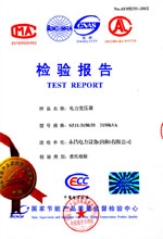 吕梁电力变压器检测报告